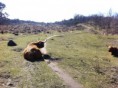 /album/fotogalerij/a2015-03-11-13-39-55-jpg/